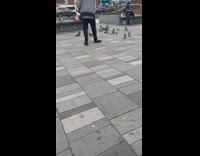 Guy feeds pigeons in quad 