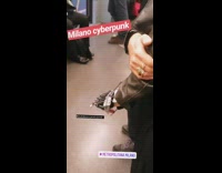 Guy wears sharp metal knife gloves on subway train
