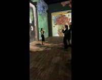 Woman black dress pose with projected paintings