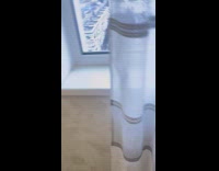 Bobcat reacts to reflection 