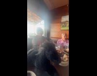 Family singing happy birthday overshadowed by waiter