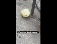who lost their melon on street next to bike rack