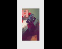 KaleSaladIG - Godzilla and monster Valentines date in bedroom