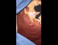 Collab Clips MPUGC - Man comes home with hole in couch