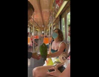 Guy on train with green pet bird pt. 2