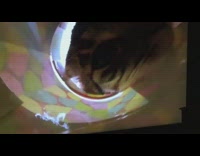 Man imitates cat that reaches the tube bottom