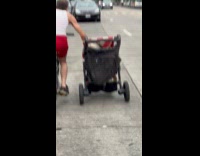Man rides bike while pushing pet stroller