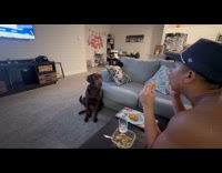 Dog learns to say i love you
