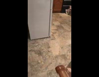 Guy looks for ice cream chest freezer