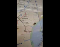 Cockroach on subway map behind glass 