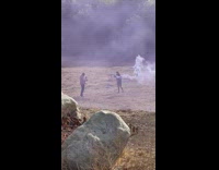 Man danced around with a violet smoke bomb