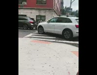 White dog sits red convertible toy car