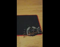 Robot crab toy move around mouse pad