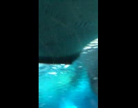 Couple holding hands walk through underwater tunnel