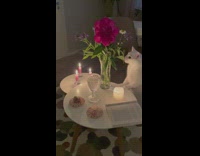 Collab PLC - White Cat Smells Flowers in Vase on Table