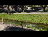 Guy do scooter trick falls on water