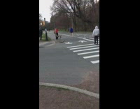 Guy carries large tree branch across park 