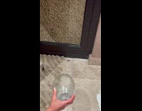 Woman shatter jar attempted to catch spider