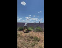 Two women run towards the man at the lavender fields