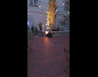 Girl sits lit up tree string lights 