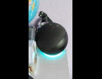 Guy ask alexa about weather fart sound