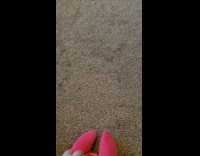 Dog gets excited hears ball can sound