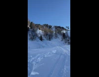 Skier does sideways flip 