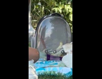 Collab WINY - Woman with cockatiel bird inside pet carrier backpack