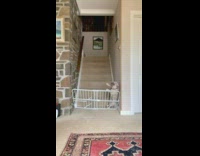 Brown dog jumps into baby gate fail 