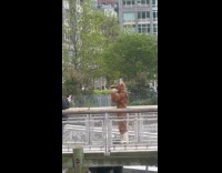 Guy wears rat costume for video shoot