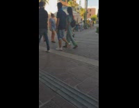 Dog in the middle of the street with a small basket