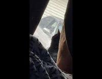 Guy close to window scares cat 