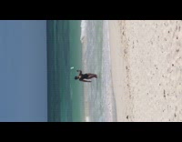 Woman black bikini selfie stick beach seaside