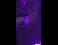 Red fish swims away from mirror 