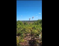 Guy works with US Air Force tests out bombs