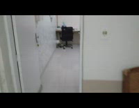 Pug in pink bed on white desk