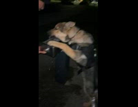 Collab PubityPets - Man Presses Button as Dog Drink from Fountain