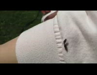 Two flies bugs stuck together white sleeve