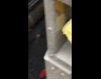 UPS employee sees bar of butter on truck