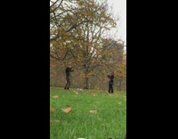 Woman black leather jacket throw dried leaves