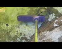 Person touch frog with mini golf club