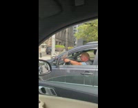 Pigeon bird sits on hand guy car