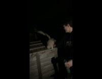 Guy holds brown duck flapping its wings