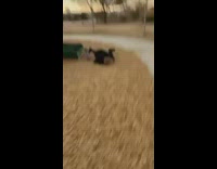Boy goes on slide with scooter 