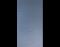 Flock of birds shaped like V on sky