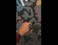 White orange cat playing with shoe lace 