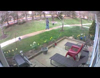 Guy throw bare hand dog poop cctv