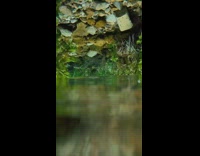 Camera flips and goes underwater to show clear floor 