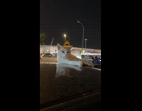 Woman fails to shoo cat away from car roof 