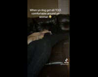 Dog Barks at Man after he Spanks Lady